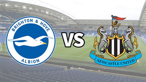 newcastle vs brighton live match